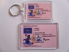 EEYORE WINNIE THE POOH Keyring or Fridge Magnet = ideal gift idea !!!!!!!!!!!!!