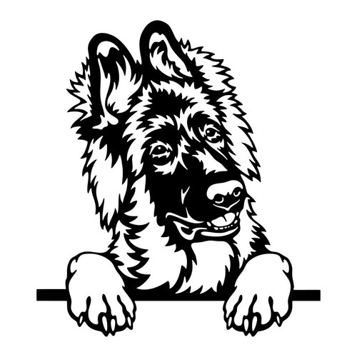 German shepherd puppy dog face - german,