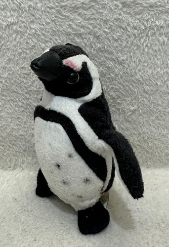 Born africa penguin - born, in
