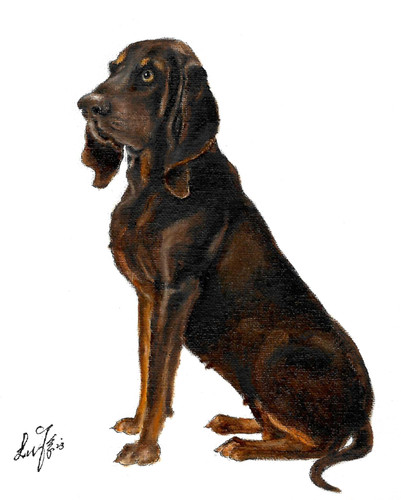 Original oil dog portrait - dog,