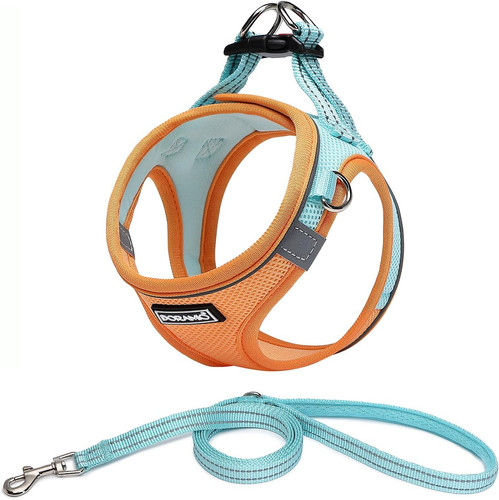 Step dog harness and - step-in,
