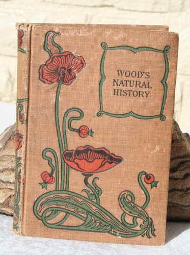 1852 wood natural history - natural,