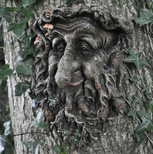 Man forest greenman - man, tree