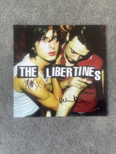 The libertines peter - libertines, doherty