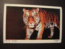 DANDY GUM WILD ANIMALS DANISH