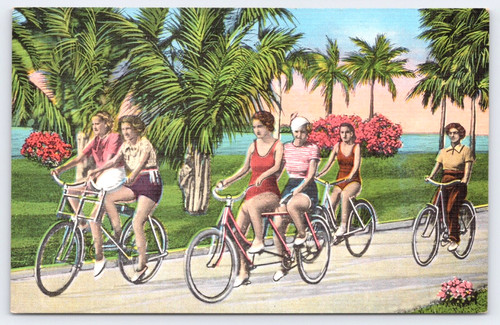 Postcard palm beach florida - postcard,