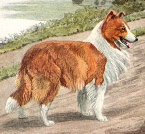 Antique dog artwork louis - artwork:,