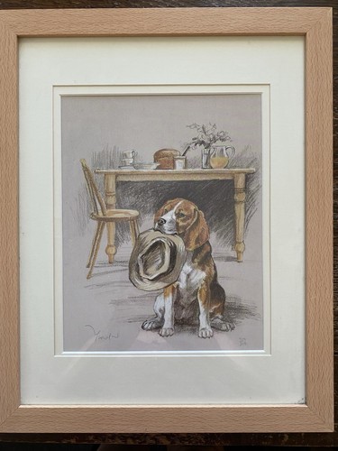 Beagle dog awaiting walkies - beagle,