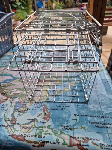 Humane animal trap squirrels - trap,