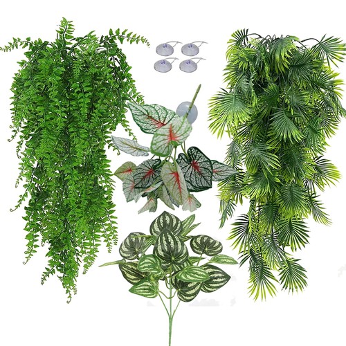Reptile plants vines - reptile, 2