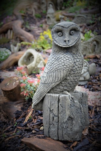 Bernie the barn owl - bernie,