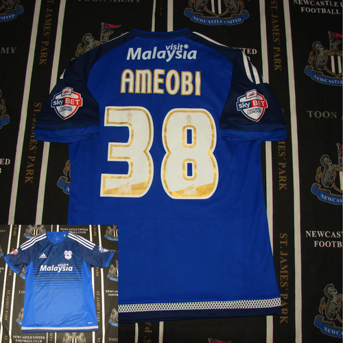 Cardiff city home - cardiff,