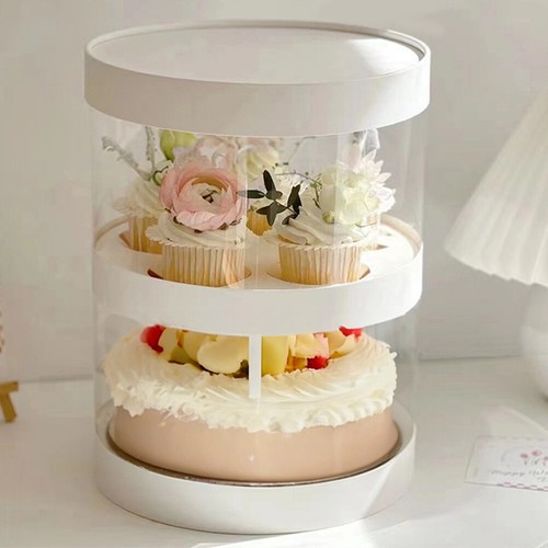 10in cupcake box holes - box, 5