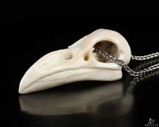 Necklace of 2.3" Petrified