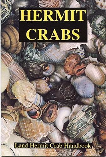 Hermit crabs land - hermit,
