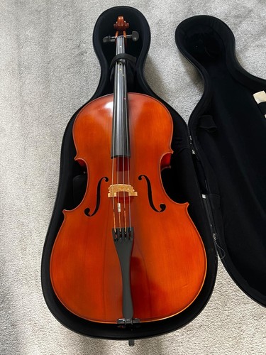 Stunning stringers symphony - stunning,