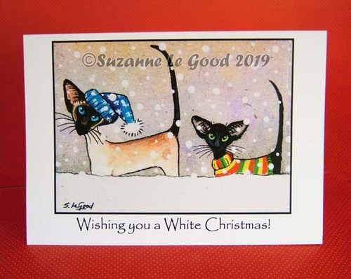 Siamese oriental cat - ,