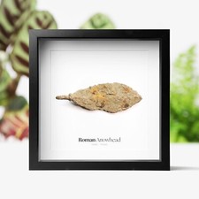 Roman Leaf-Shaped Arrowhead