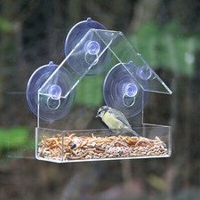 Medium Glass Window Bird