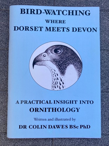 Bird watching where dorset - bird-watching,