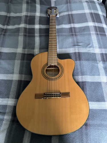 Ibanez electro acoustic - ibanez,