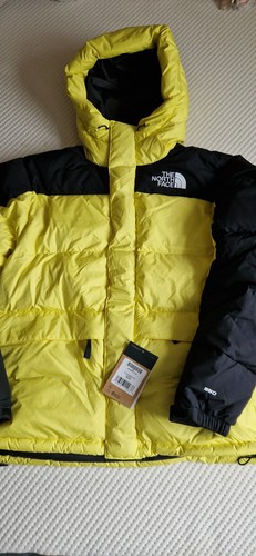 The north face - face, down
