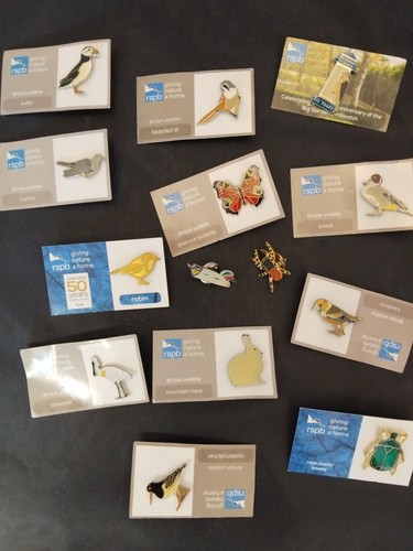Rspb badge collection - 14, pin