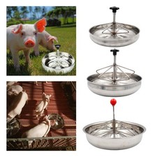 Piglet Fodder Slot Watering