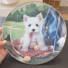 Westie Puppy Golf Collector
