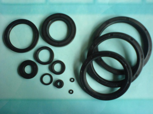Shaft seal sealing - 1, ring