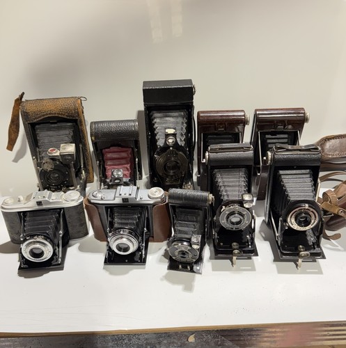 Job lot folding bellows - 10, x