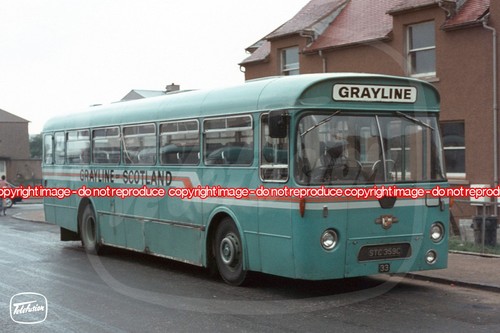 Bus photo grayline of - grayline,