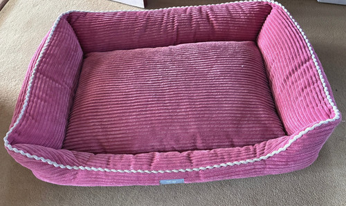 Large cushioned dog - cushioned,