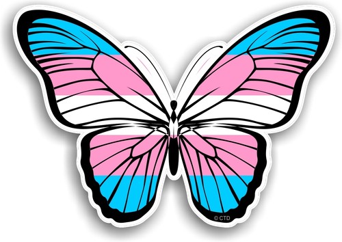 Beautiful butterfly design - butterfly,
