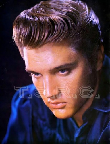 Elvis presley promo photo for - elvis,