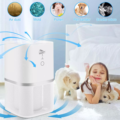 Air purifier for large - air,