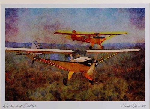417055 taylorcraft 12d 1945 - 417055,