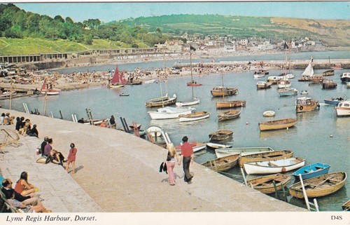 Lyme regis the - regis.,
