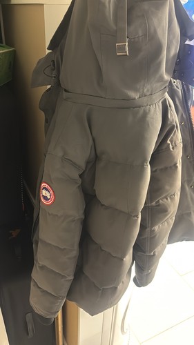 Canada goose grey - goose, (medium)
