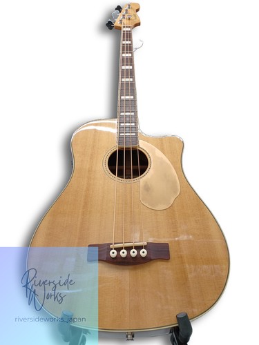 Fender electro acoustic - electro-acoustic, bass