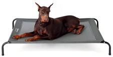 Bedsure Elevated Dog Bed Large - Raised Waterproof Bed With Mesh