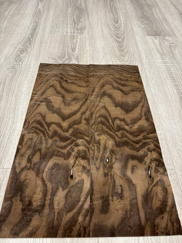 Burr walnut natural wood - natural,