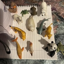 Animal Hospital Igloo And