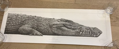 Gary hodges nile crocodile - gary,