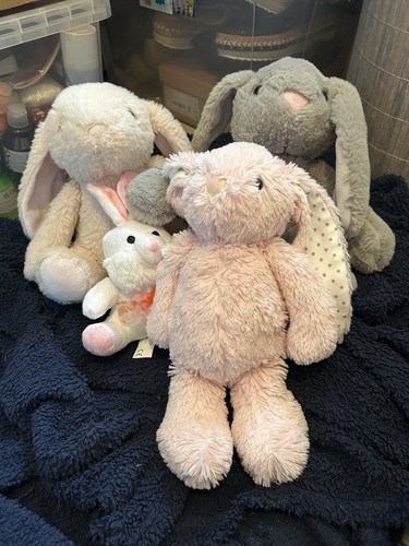 Lot small plush bunny - of,
