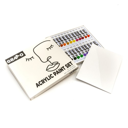 Acrylic paint art set 24x - art,