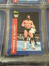 1991 Classic WWF Incomplete