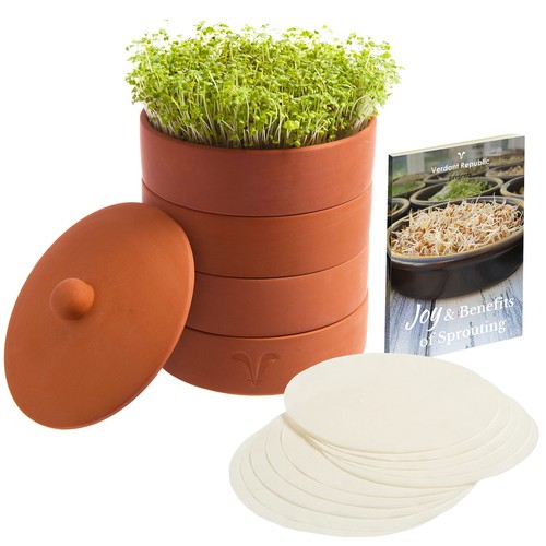 Verdant republic clay - verdant,