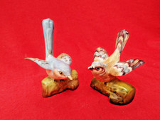 CROWN STAFFORDSHIRE J T Jones Pair of Hand Painted Birds
