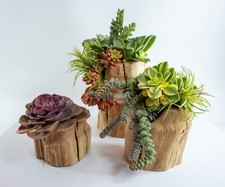 Natural Wood Planter for